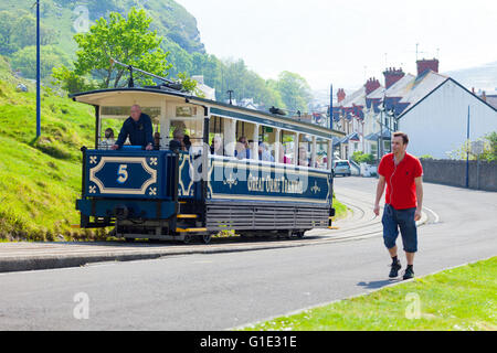 Llandudno, Conwy Grafschaft, Nord-Wales, UK. 13. Mai 2016. Großbritannien Wetter - UK Temperaturen bleiben hoch über das Vereinigte Königreich für heute, aber sie fallen in den kommenden Tagen unter dem Normalwert. Die Zahl 5 Straßenbahn den Great Orme mit Strandurlauber genießen die Fahrt hinauf. Eine Walker hält Schritt als die Wanderungen auf den Orme. Stockfoto