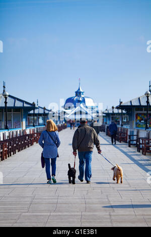 Llandudno, Conwy Grafschaft, Nord-Wales, UK. 13. Mai 2016. Großbritannien Wetter - UA paar und ihre Hunde genießen die warme Sonnenstrahlen auf Llandudno Pier mit anderen Strandurlauber Stockfoto