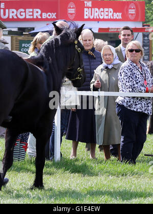 Windsor, UK. 13. Mai 2016. HM Königin Elizabeth Mitglieder des englischen Königshauses besuchen der Royal Windsor Horse Show, es findet auf dem privaten Gelände von Windsor Castle. Bildnachweis: Dpa picture Alliance/Alamy Live News Stockfoto