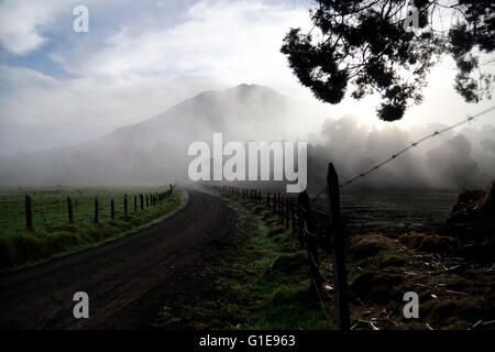 La Central. 13. Mai 2016. Foto aufgenommen am 13. Mai 2016 zeigt der Vulkan Turrialba, in der Nähe von La Central, 65 km nordöstlich von San Jose, der Hauptstadt von Costa Rica. Der Vulkan Turrialba in der zentralen Zone von Costa Rica mit Asche wieder einmal nach der Präsentation am Donnerstag einer wichtigeren Eruption von Gas und Glühlampen Material gefüllt. Bildnachweis: Kent Gilbert/Xinhua/Alamy Live-Nachrichten Stockfoto