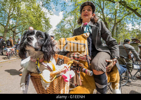 London, UK. 14. Mai 2016. Für die Mittagspause am Hyde Park - The Tweed Run Ankunft, sehr britische öffentliche Fahrrad fahren durch Londons Straßen, mit der Voraussetzung, dass die Teilnehmer in ihrer besten Tweed Radsport Kleidung gekleidet sind. Jetzt ist es 8. Jahr die Fahrt einen Rundweg von Clerkenwell über das Albert Memorial, Buckinham Palace und Westminster folgt. Bildnachweis: Guy Bell/Alamy Live-Nachrichten Stockfoto