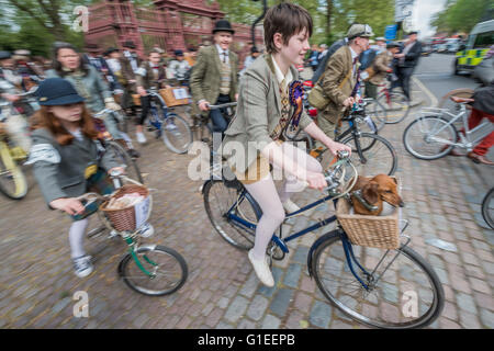 London, UK. 14. Mai 2016. Aufrechnung nach dem Mittagessen - The Tweed Run, eine sehr britische öffentliche Radtour durch Londons Straßen, mit der Voraussetzung, dass die Teilnehmer in ihrer besten Tweed Radsport Kleidung gekleidet sind. Jetzt ist es 8. Jahr die Fahrt einen Rundweg von Clerkenwell über das Albert Memorial, Buckinham Palace und Westminster folgt. Bildnachweis: Guy Bell/Alamy Live-Nachrichten Stockfoto