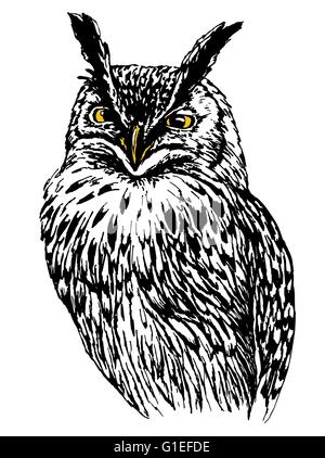 Eule Hand gezeichnet, isoliert schwarz-weiß Vektor-illustration Stock Vektor