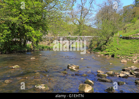 Viator Brücke über den Fluss tauchte in Milldale, Dovedale, Peak District National Park, Staffordshire, England, Vereinigtes Königreich. Stockfoto