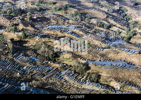 Panoramablick auf das Bada Reis Terrassen, Yuanyang County, Provinz Yunnan, China Stockfoto