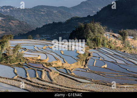 Reisterrassen, Berge, Wälder und Dörfer, Quanfuzhuang, Yuanyang County, Provinz Yunnan, China Stockfoto