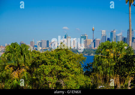 Die Skyline von Sydney. Stockfoto