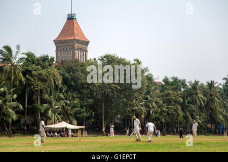 MUMBAI, Indien - 10. Oktober 2015: Menschen spielen Cricket im Central Park in Mumbai, Indien. Kricket ist der populärste sport Stockfoto