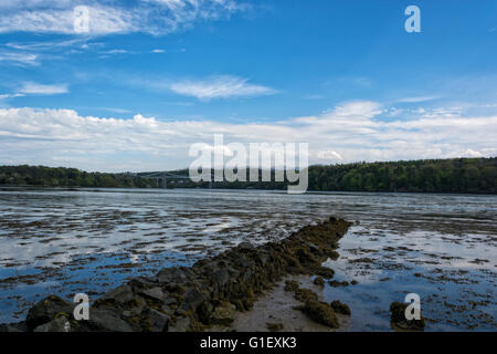 Menai straights Angelsey North Wales UK Stockfoto