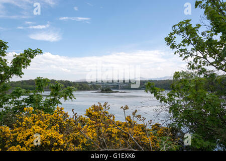 Menai straights Angelsey North Wales UK Stockfoto