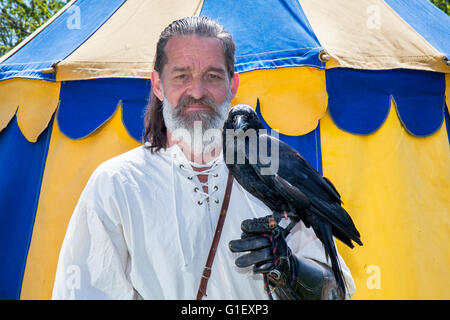 Robert Davis Kopf Falconer aus Talonted Federn, mit einem seltenen Ausstellung einen ein Jahr alten Handaufgezogene zahme Raven. Die Re-enactment group Historia Normannis ein 12. Jahrhundert inszeniert mittelalterliche Veranstaltung einschließlich Nachzuchten Ravens mit Displays im Coronation Park, Ormskirk, Lancashire, UK. Stockfoto