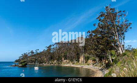 Küste und Boot am Ulva Island (Stewart Island)-Neuseeland Stockfoto