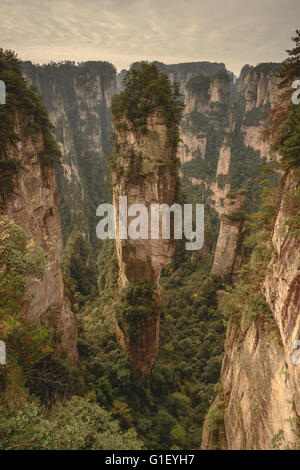 Eine Sandsteinsäule in Zhangjiajie umbenannt Hallelujah Mountain, nach dem Film avatar Stockfoto