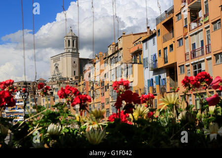 Blick auf den Dom in Girona Blumenfest 2016, Temps de Flors, Girona, Katalonien, Spanien Stockfoto