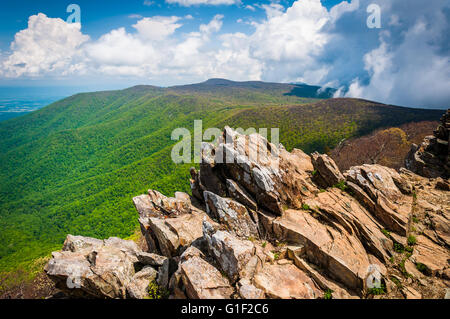 Zeitigen Frühjahr Blick auf die Blue Ridge Mountains von Hawksbill Gipfel, Shenandoah-Nationalpark, Virginia Stockfoto