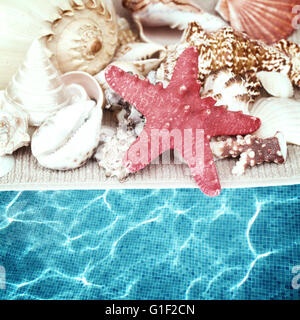 starfish and seashells border Stockfoto