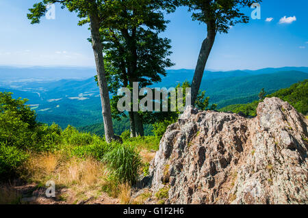 Blick auf die Blue Ridge und Shenandoah Valley hinter Felsen und Bäumen am Jewell hohlen übersehen, auf Skyline Drive im Shenandoah Na Stockfoto