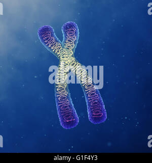 Chromosom, Gentechnik, DNA Stockfoto