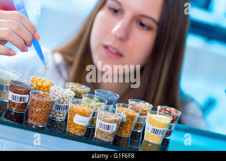 -MODELL VERÖFFENTLICHT. Wissenschaftlerin Hülsenfrüchte im Labor zu studieren. Stockfoto