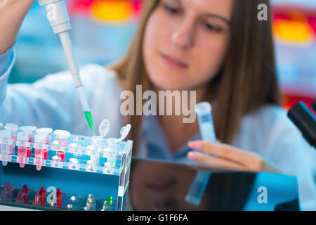 -MODELL VERÖFFENTLICHT. Wissenschaftlerin mit Hilfe einer Pipette und Eppendorf-Röhrchen. Stockfoto