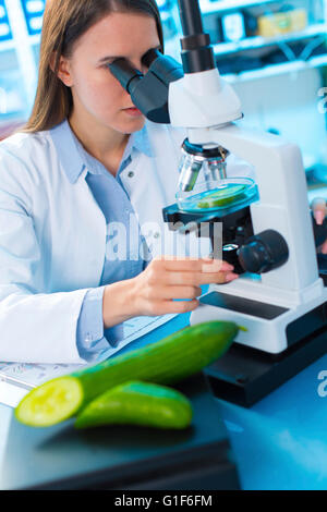 -MODELL VERÖFFENTLICHT. Wissenschaftlerin Gurke unter dem Mikroskop zu studieren. Stockfoto