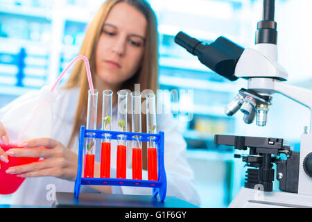 -MODELL VERÖFFENTLICHT. Weibliche Biologin rote Flüssigkeit auf Pflanzen im Reagenzglas zu quetschen. Stockfoto