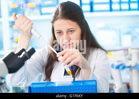 -MODELL VERÖFFENTLICHT. Weibliche Laborantin mit einer Pipette im Labor. Stockfoto