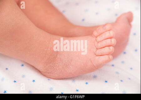 -MODELL VERÖFFENTLICHT. Neugeborene Babys Füße. Stockfoto