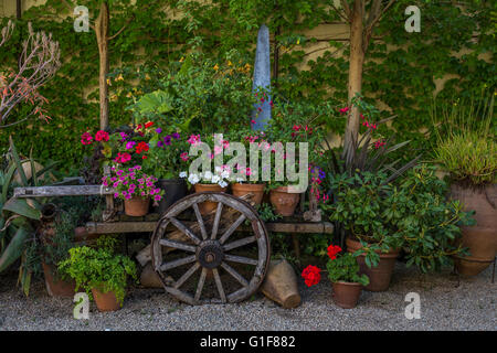 Gärten, Weingut Chateau St. Jean, Kenwood, Sonoma Valley, Sonoma County, California, Vereinigte Staaten von Amerika, Nordamerika Stockfoto