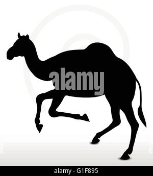 Vektorbild - Kamel im laufenden Pose isoliert auf weißem Hintergrund Stock Vektor