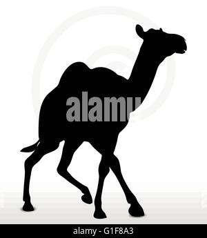 Vektorbild - Kamel in Trotting stellen isolierten auf weißen Hintergrund Stock Vektor