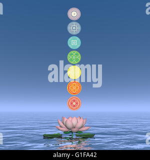 Sieben Chakra-Symbole-Spalte auf einer Lotusblüte und Wasser in blauem Hintergrund - 3D render Stockfoto