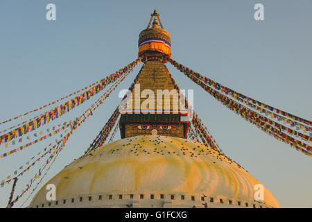 Boudhanath Stupa mit Hunderten von Tauben und Gebet Fahnen in Kathmandu, Nepal Stockfoto