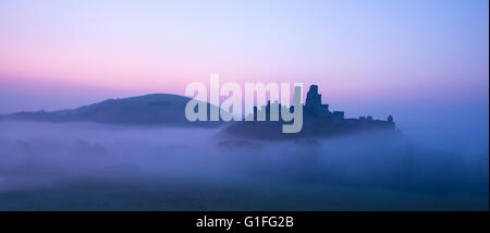 Ein nebliger Morgen Corfe Castle in Dorset. Stockfoto