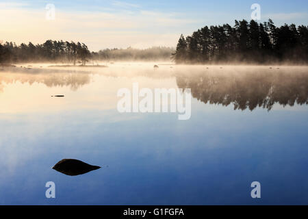 Sonnenaufgang, Mäen, Gashult, Småland, Schweden Stockfoto