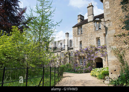 Glyzinien in Worcester College. Oxford, UK Stockfoto