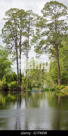 Folkston, Georgia - Menschen-Kanu auf dem Suwannee Kanal in das Okefenokee National Wildlife Refuge. Stockfoto