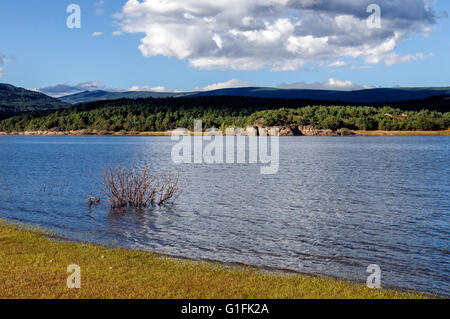 Strand Pita, Reservoir Cuerda del Pozo, Soria, Kastilien und Leon, Spanien, Europa Stockfoto