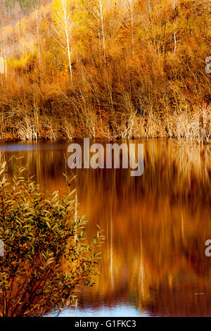 Herbst Farben-Spiegelbild im See Stockfoto