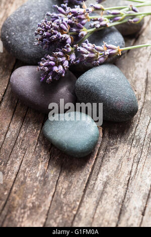 Steinen mit Lavendel Stockfoto