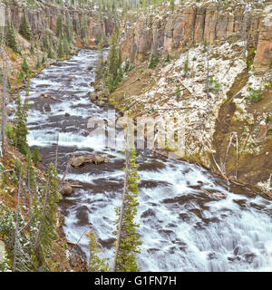 Wasserfälle am Fluss Lewis in Lewis Canyon des Yellowstone-Nationalpark, wyoming Stockfoto