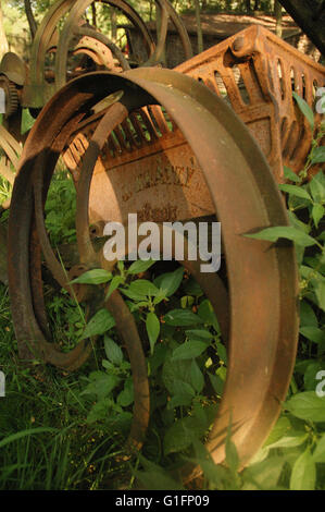 Alte traditionelle Mechanismus mit Rost in den Rasen bedeckt Stockfoto