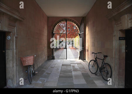 Den hinteren Eingang zu Clare College in Cambridge, England, auf der Suche über Clare Bridge: Fahrräder und Herbst Farbe Stockfoto