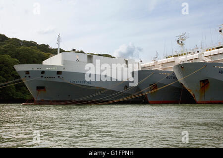 River Fal über King Harry Ferry, Cornwall, England, mit mehreren riesigen Auto Transporter Schiffe aufgelegt auf Liegeplätze im Fluss Stockfoto