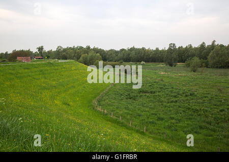Deich und Vorland des niederländischen Fluss Waal, Millingen Aan de Rijn, Gelderland, Niederlande Stockfoto
