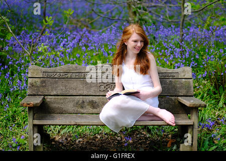 Eine schlanke, rothaarige junge Frau in einem weißen Kleid sitzt auf einer Holzbank mit einem Buch in einem Bluebell Holz Stockfoto