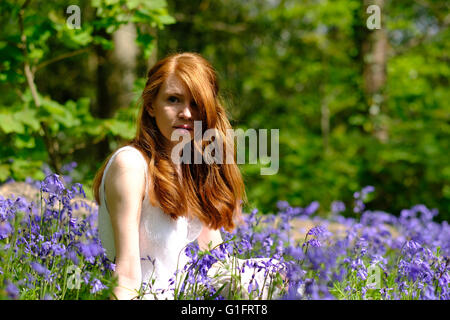 Eine schlanke junge Frau mit langen roten Haaren sitzt unter Bluebell Blumen in einer bewaldeten Umgebung. Stockfoto