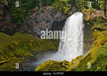 Sahalie fällt auf McKenzie River, Willamette National Forest, Cascade Mountains, Oregon. Stockfoto