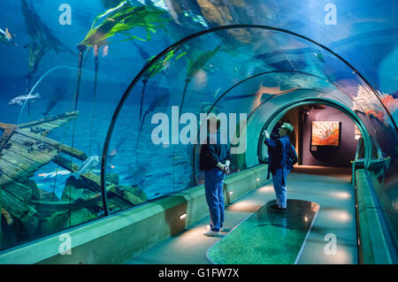 Passagen aus der Tiefe ausstellen auf die Oregon Coast Aquarium; Newport, zentrale Oregon Küste. Stockfoto