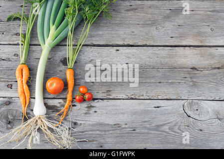 Trendige Bio Karotten, Tomaten und Lauch aus dem Hause Garten Bett auf Scheune Holztisch, australische gewachsen. Stockfoto